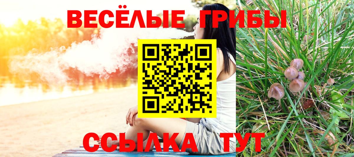 Галлюциногенные грибы ЛСД Зерноград